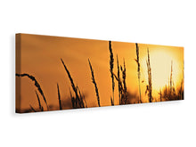 Load image into Gallery viewer, Panoramic Canvas Print Sunrise on the field
