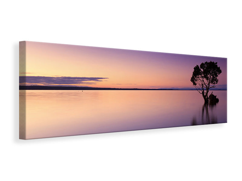 Panoramic Canvas Print Sunset on the tree in the water