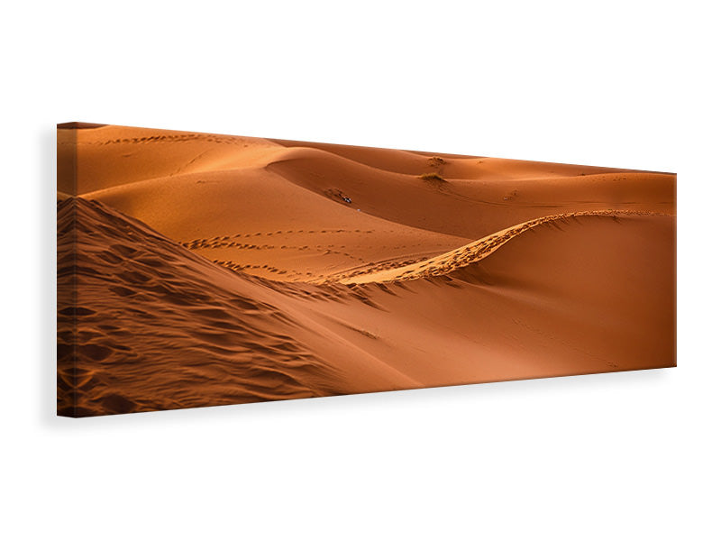 Panoramic Canvas Print Traces in the desert