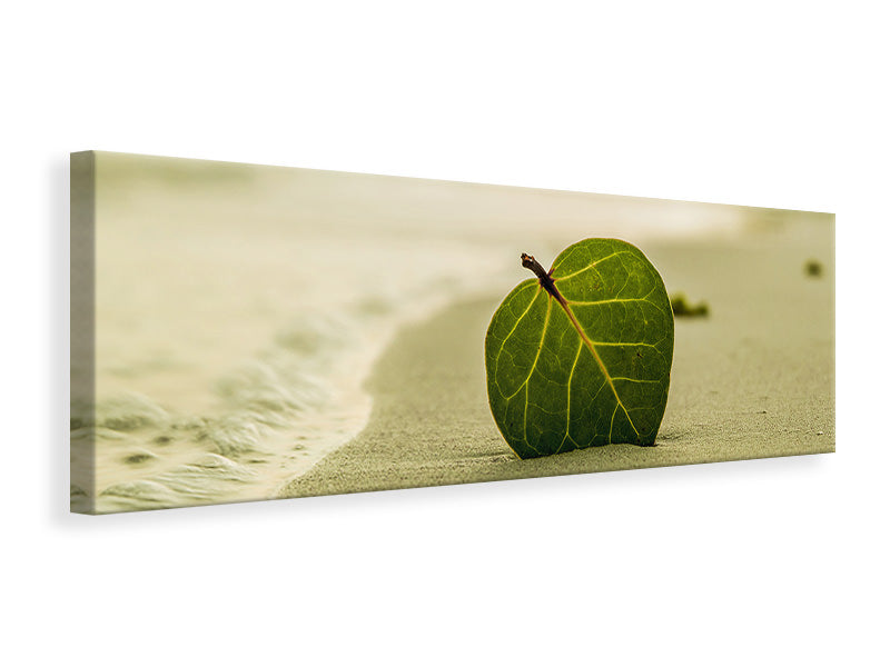 Panoramic Canvas Print Beach leaf