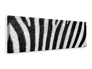 Panoramic Canvas Print Strip of the zebra
