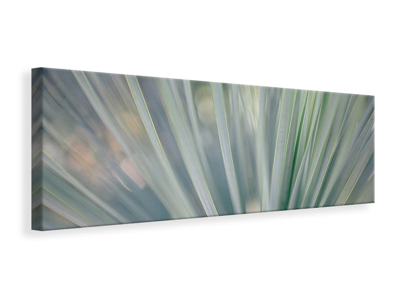 Panoramic Canvas Print Strip of plant