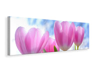 Panoramic Canvas Print Tulips in nature