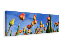 Load image into Gallery viewer, Panoramic Canvas Print Tulips tower to the sky
