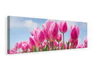 Panoramic Canvas Print Tulip field in pink