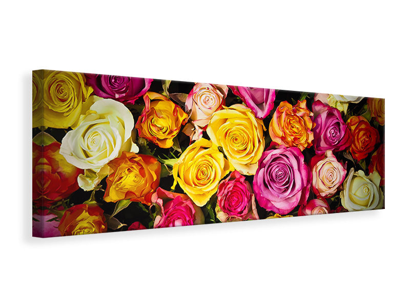 Panoramic Canvas Print Many colorful rose petals