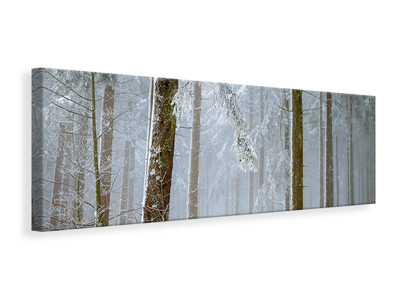 Panoramic Canvas Print Forest in winter