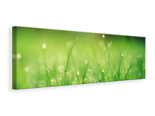 Load image into Gallery viewer, Panoramic Canvas Print Meadow with morning dew
