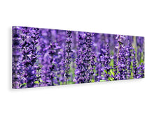 Load image into Gallery viewer, Panoramic Canvas Print XL lavender
