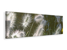 Load image into Gallery viewer, Panoramic Canvas Print Ornamental grasses in XL
